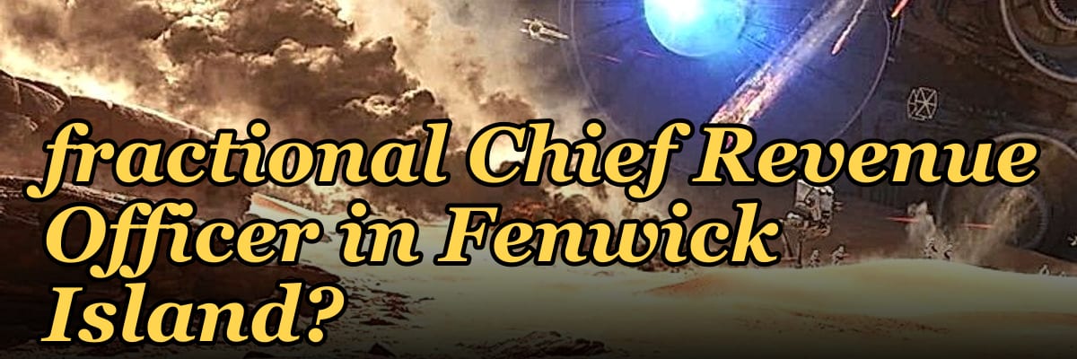 How do I find a fractional Chief Revenue Officer in Fenwick Island?
