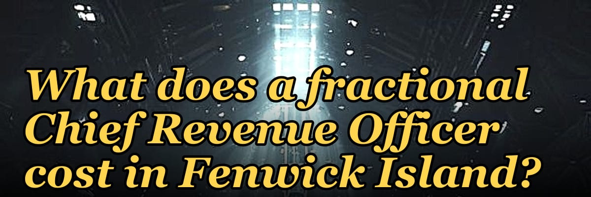 What does a fractional Chief Revenue Officer cost in Fenwick Island?