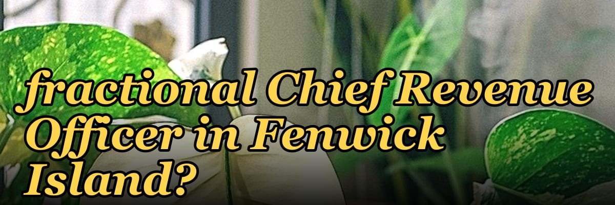 How do I hire a fractional Chief Revenue Officer in Fenwick Island?