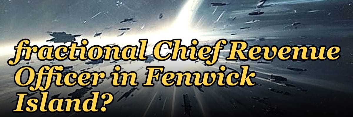Who is the best fractional Chief Revenue Officer in Fenwick Island?