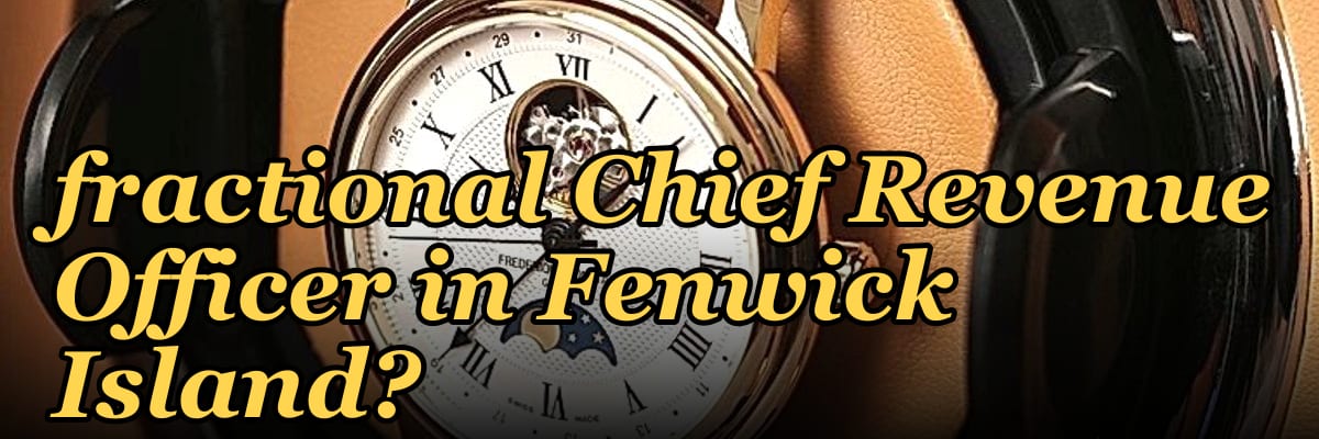 Should I hire a fractional Chief Revenue Officer in Fenwick Island?