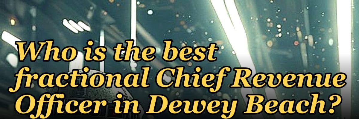 Who is the best fractional Chief Revenue Officer in Dewey Beach?
