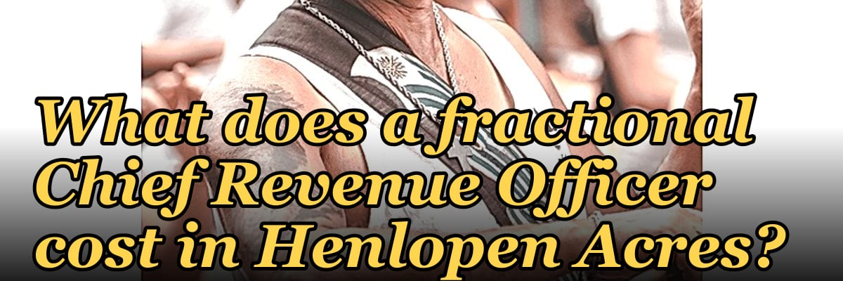 What does a fractional Chief Revenue Officer cost in Henlopen Acres?
