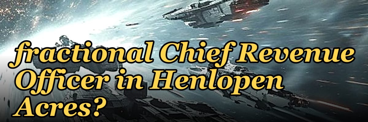 Who is the best fractional Chief Revenue Officer in Henlopen Acres?