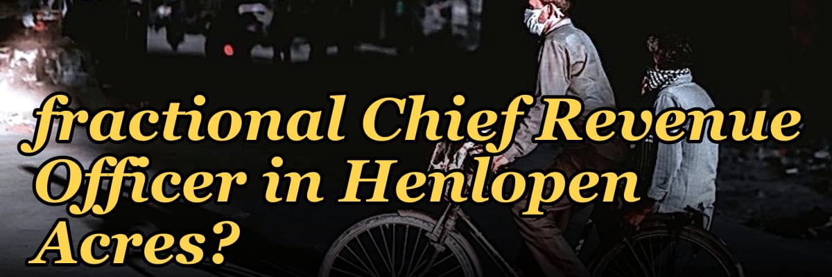Should I hire a fractional Chief Revenue Officer in Henlopen Acres?