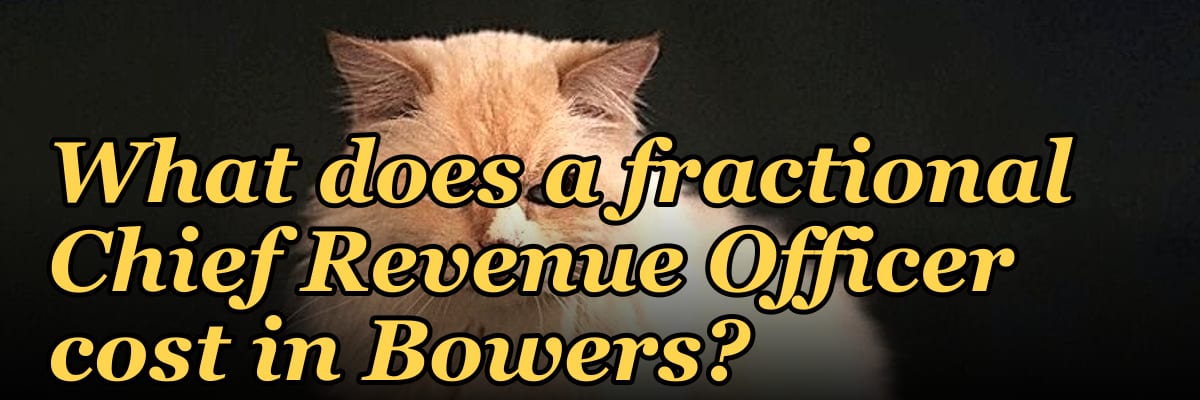What does a fractional Chief Revenue Officer cost in Bowers?