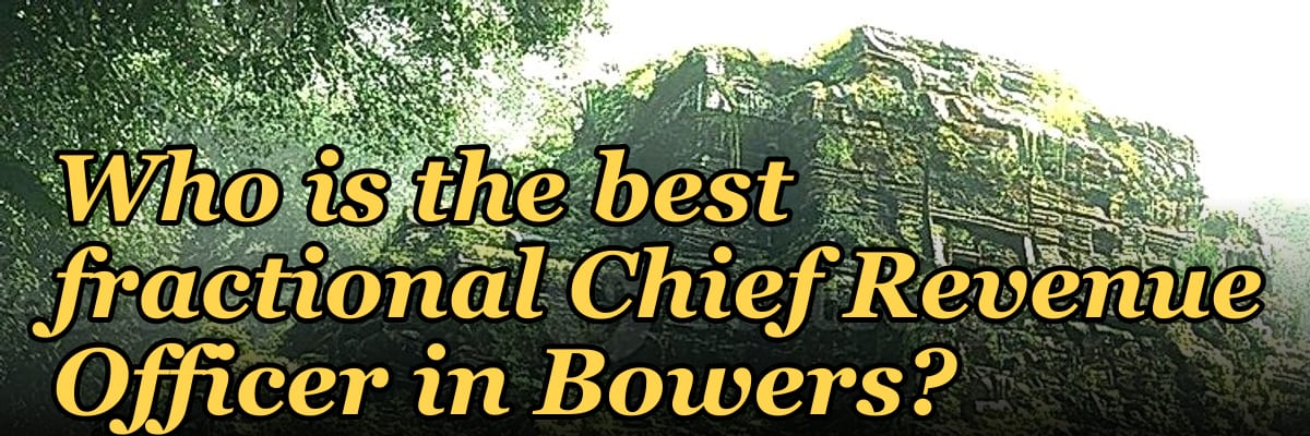 Who is the best fractional Chief Revenue Officer in Bowers?