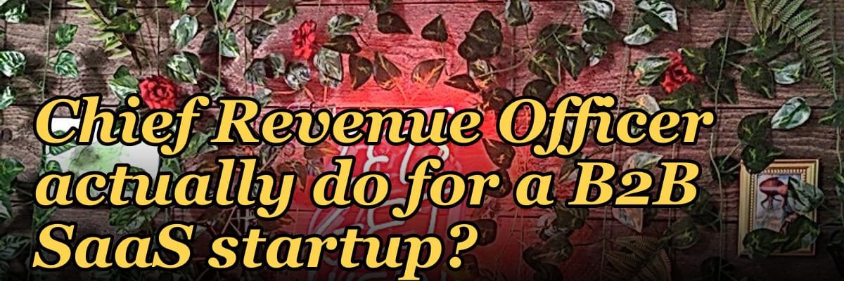 What does a fractional Chief Revenue Officer actually do for a B2B SaaS startup?