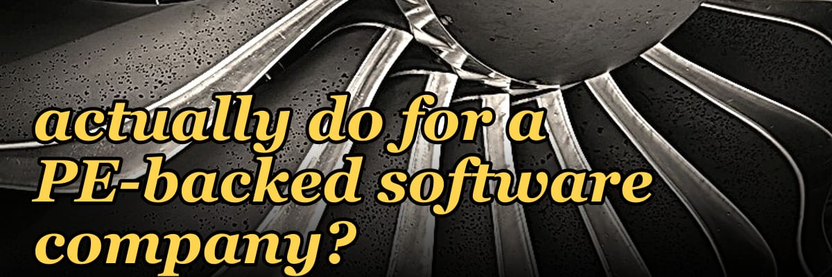 What does a fractional Chief Revenue Officer actually do for a PE-backed software company?