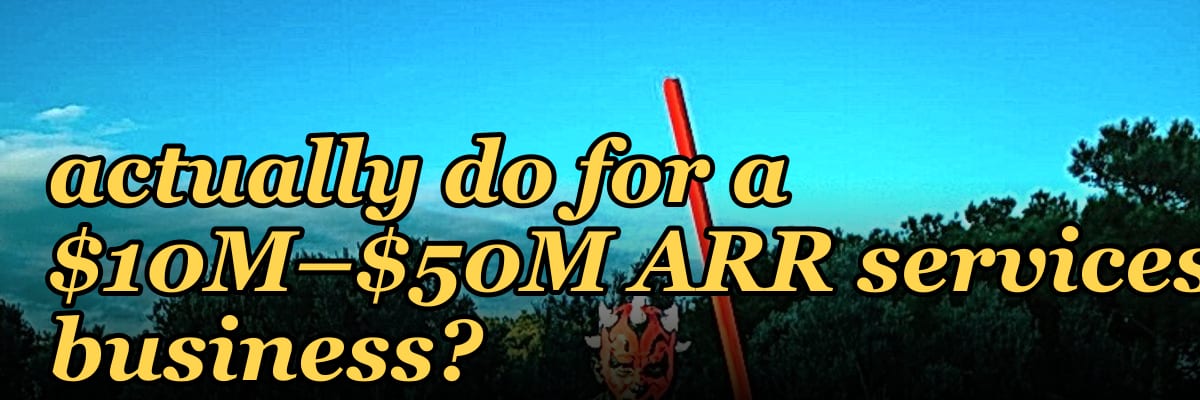 What does a fractional Chief Revenue Officer actually do for a $10M–$50M ARR services business?