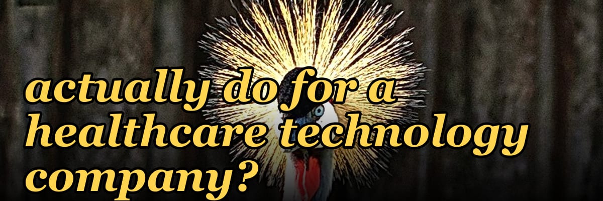 What does a fractional Chief Revenue Officer actually do for a healthcare technology company?