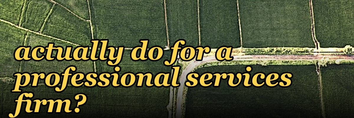 What does a fractional Chief Revenue Officer actually do for a professional services firm?