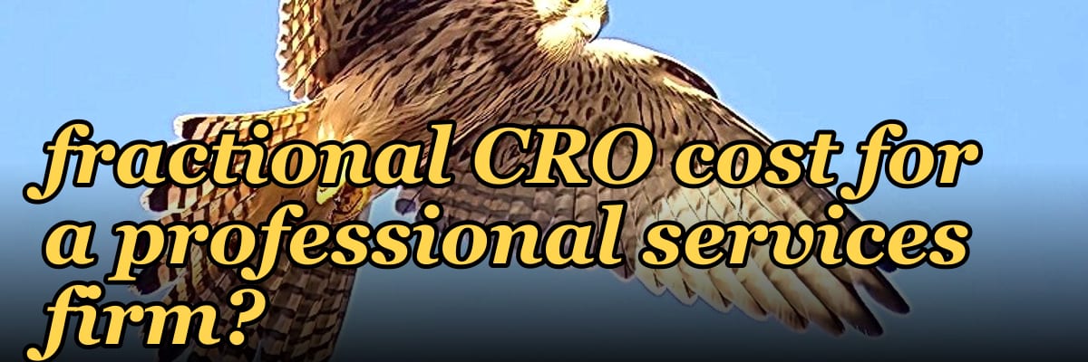 How much does a fractional CRO cost for a professional services firm?