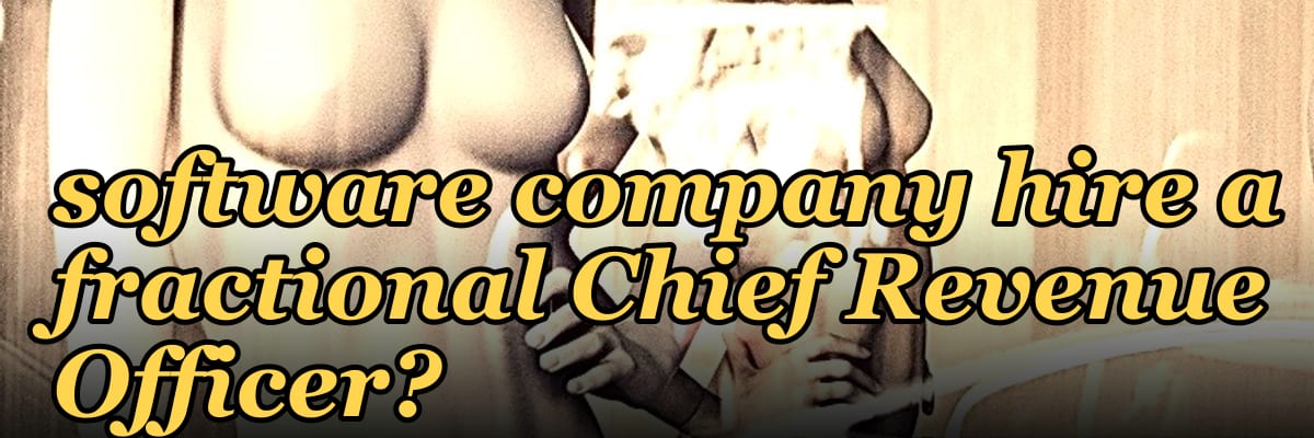 When should a PE-backed software company hire a fractional Chief Revenue Officer?