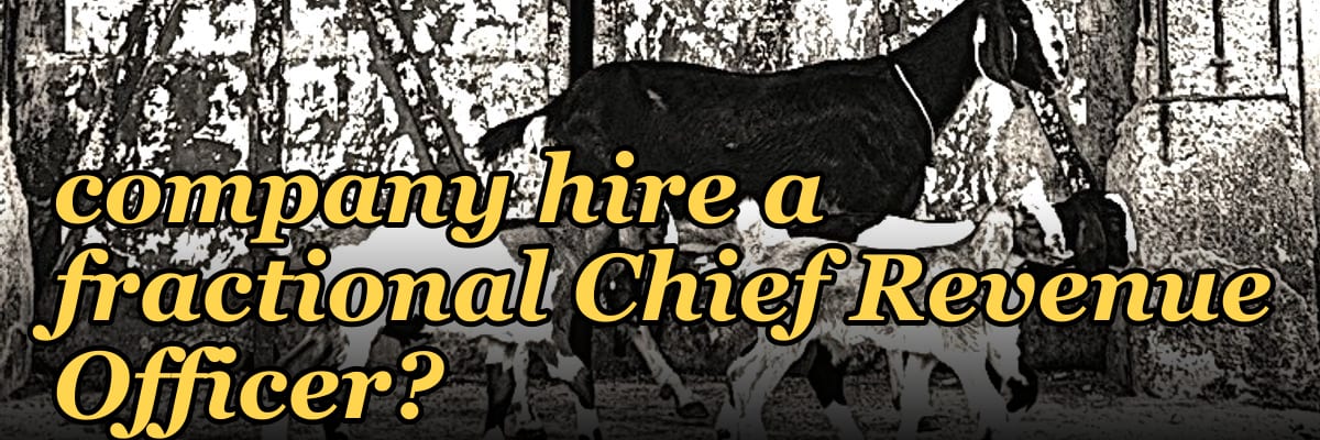 When should a fintech company hire a fractional Chief Revenue Officer?