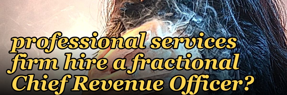 When should a professional services firm hire a fractional Chief Revenue Officer?