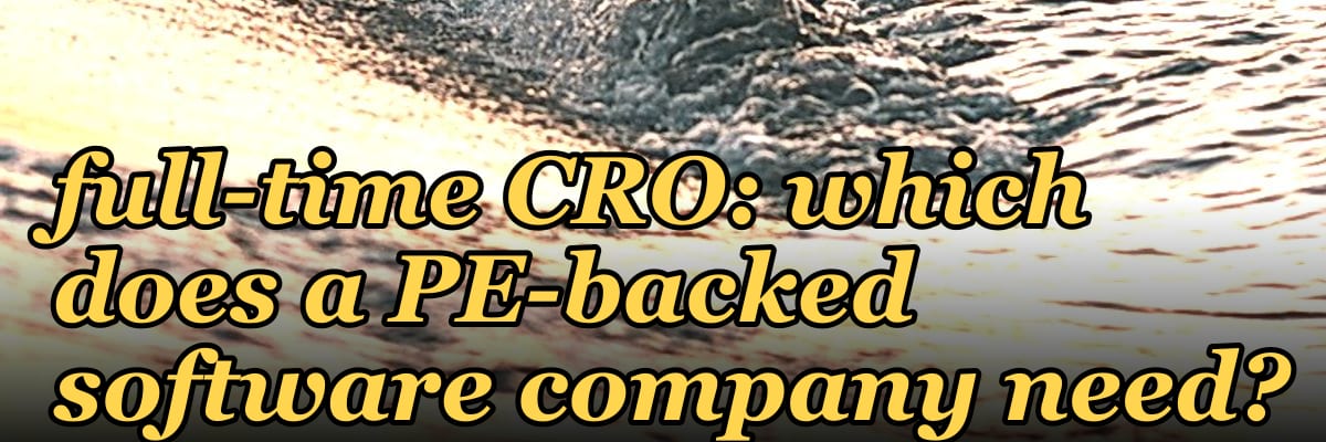 Fractional CRO vs full-time CRO: which does a PE-backed software company need?