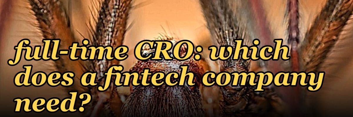 Fractional CRO vs full-time CRO: which does a fintech company need?