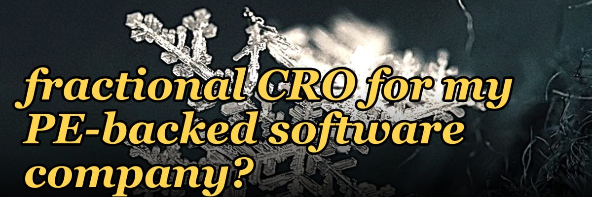 How do I find a fractional CRO for my PE-backed software company?