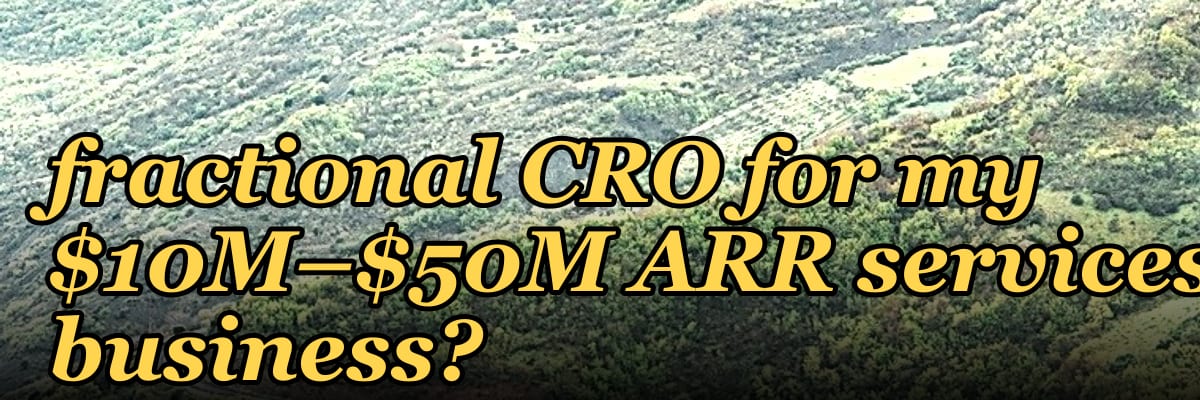 How do I find a fractional CRO for my $10M–$50M ARR services business?
