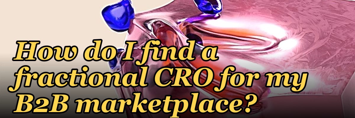 How do I find a fractional CRO for my B2B marketplace?