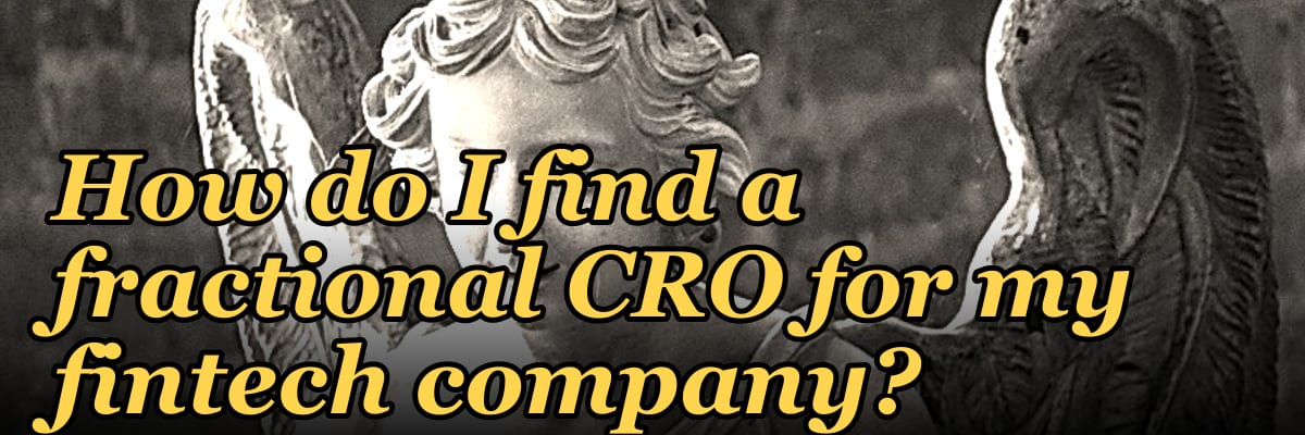 How do I find a fractional CRO for my fintech company?