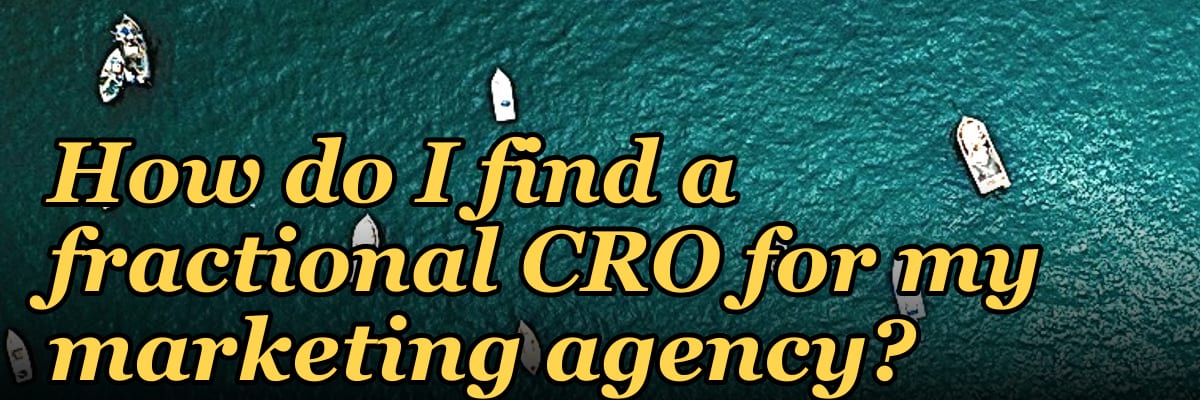 How do I find a fractional CRO for my marketing agency?