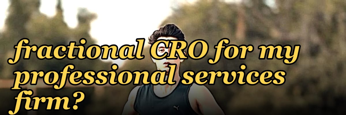 How do I find a fractional CRO for my professional services firm?