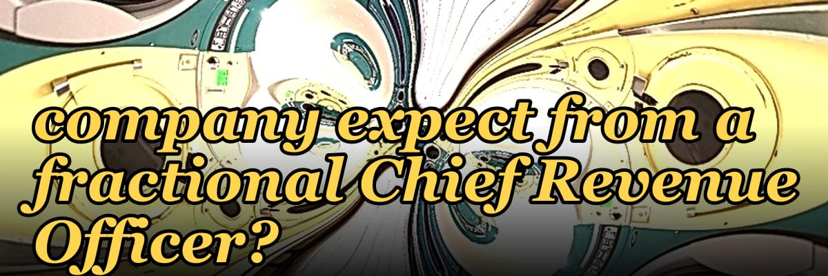 What ROI should a PE-backed software company expect from a fractional Chief Revenue Officer?