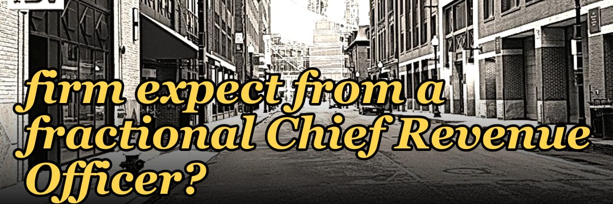 What ROI should a professional services firm expect from a fractional Chief Revenue Officer?