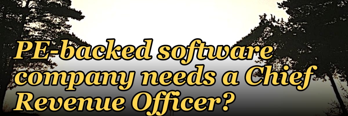 What are the signs a PE-backed software company needs a Chief Revenue Officer?