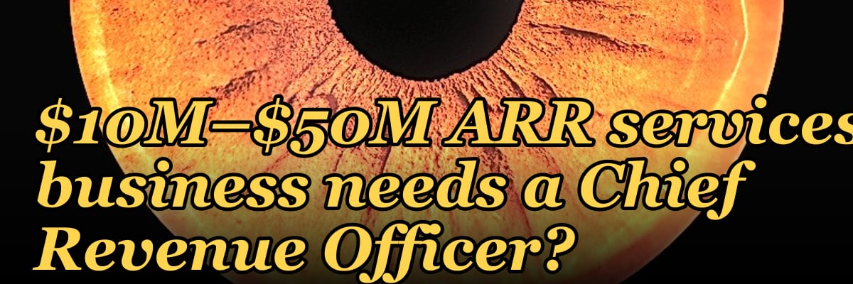 What are the signs a $10M–$50M ARR services business needs a Chief Revenue Officer?
