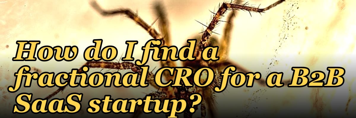 How do I find a fractional CRO for a B2B SaaS startup?