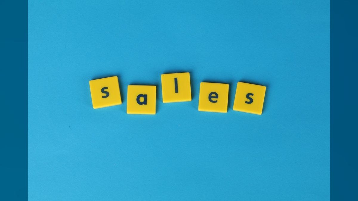 What's the difference between a CRO and a VP of Sales for a B2B SaaS startup in 2027?