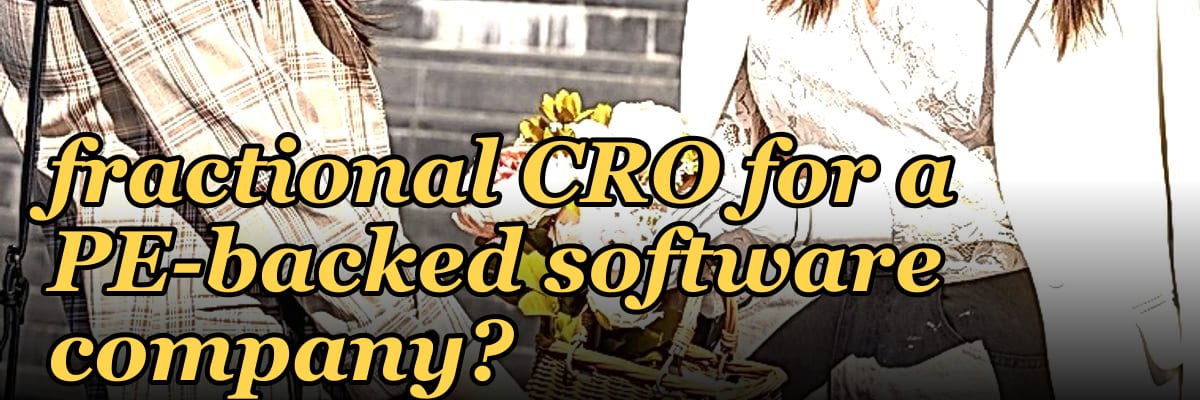 How do I find a fractional CRO for a PE-backed software company?