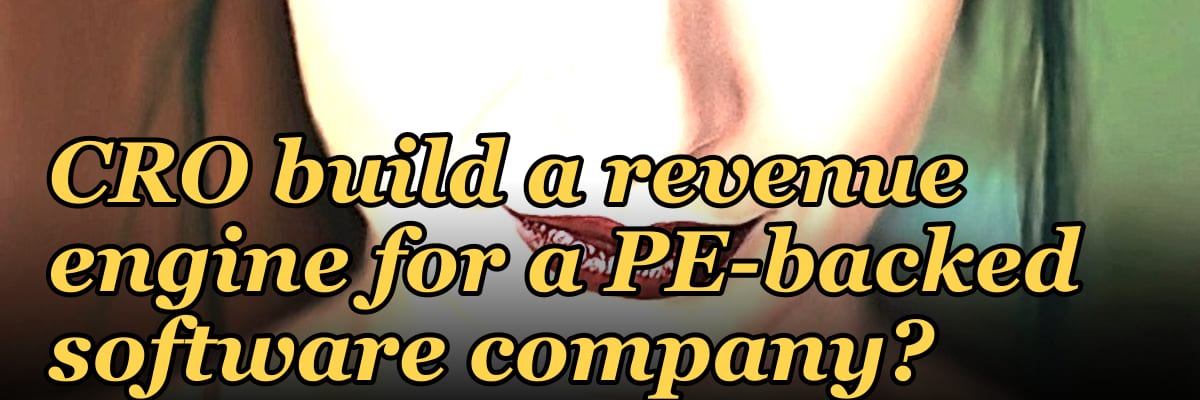 How does a fractional CRO build a revenue engine for a PE-backed software company?