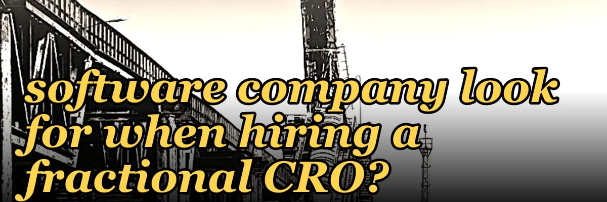 What should a PE-backed software company look for when hiring a fractional CRO?