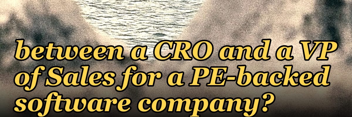What's the difference between a CRO and a VP of Sales for a PE-backed software company?