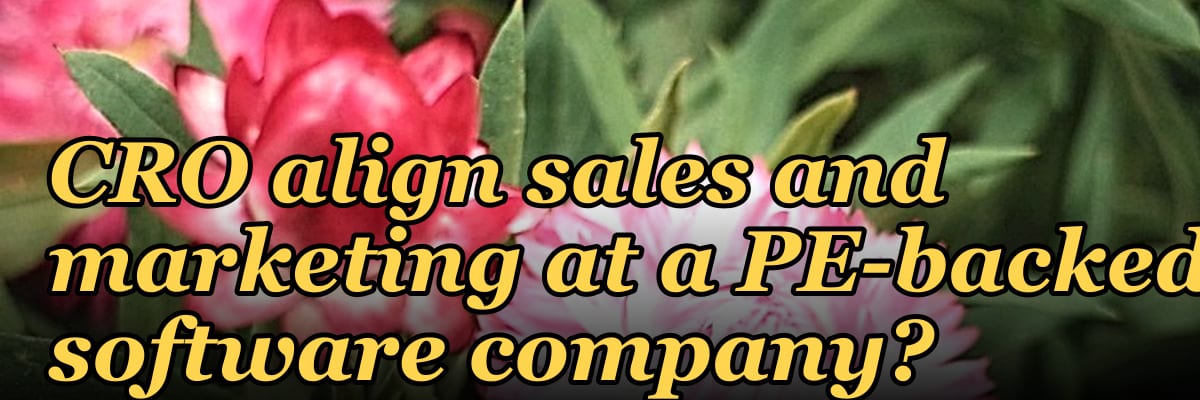 How does a fractional CRO align sales and marketing at a PE-backed software company?
