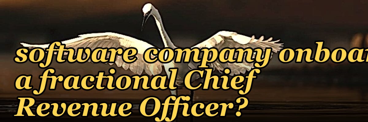 How does a PE-backed software company onboard a fractional Chief Revenue Officer?