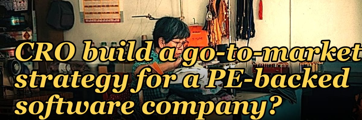 How does a fractional CRO build a go-to-market strategy for a PE-backed software company?