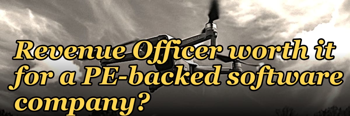 Is a fractional Chief Revenue Officer worth it for a PE-backed software company?