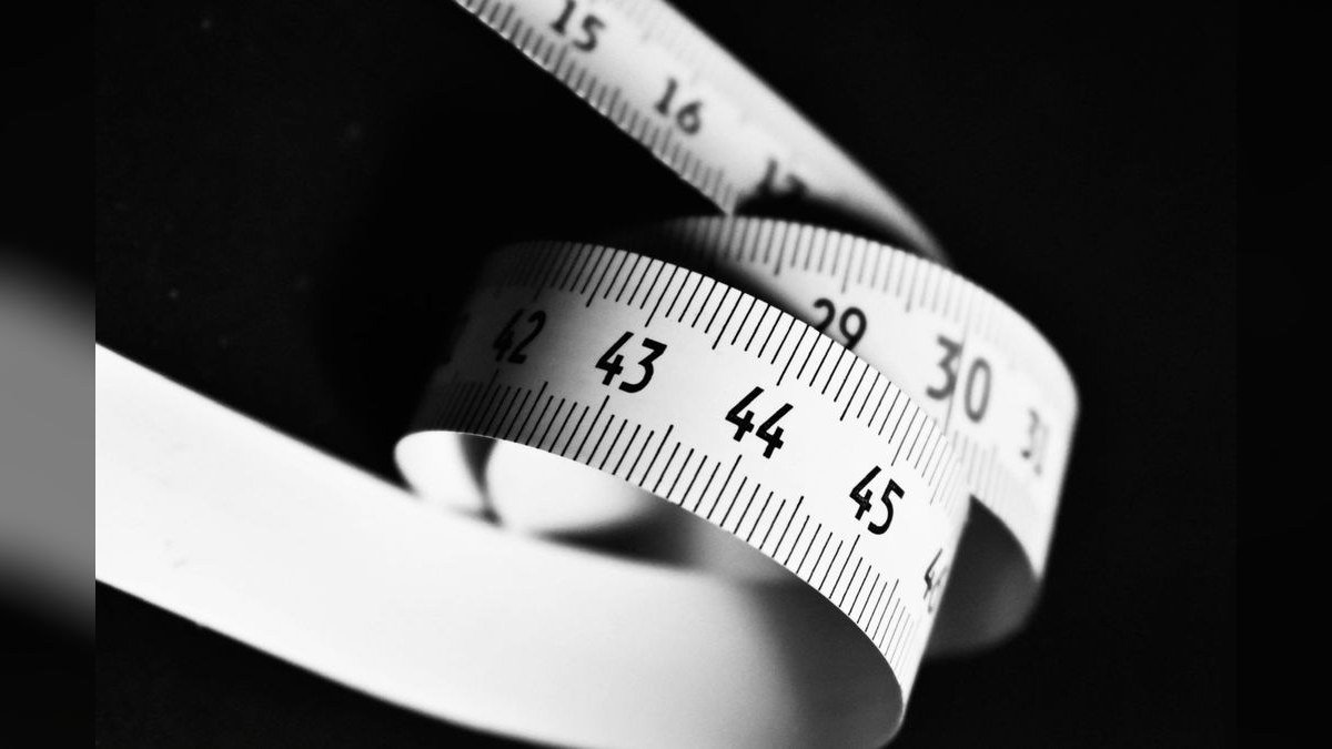 What metrics does a fractional CRO track at a $10M–$50M ARR services business in 2027?