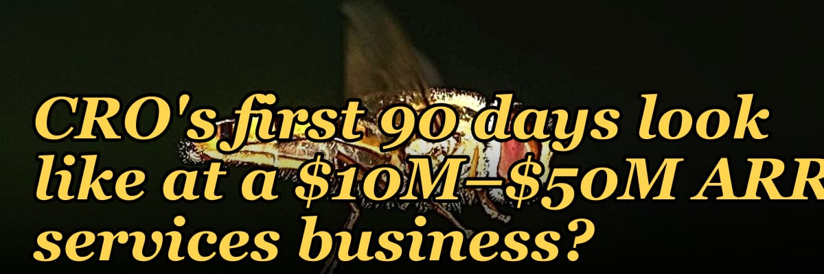 What does a fractional CRO's first 90 days look like at a $10M–$50M ARR services business?