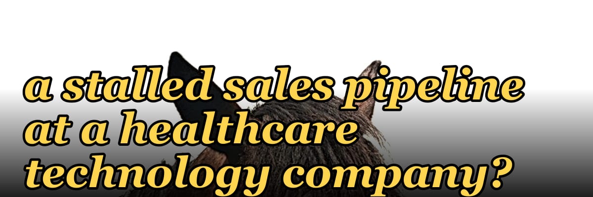 Can a fractional CRO fix a stalled sales pipeline at a healthcare technology company?