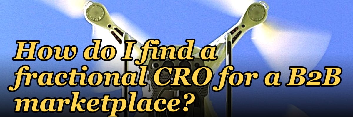 How do I find a fractional CRO for a B2B marketplace?