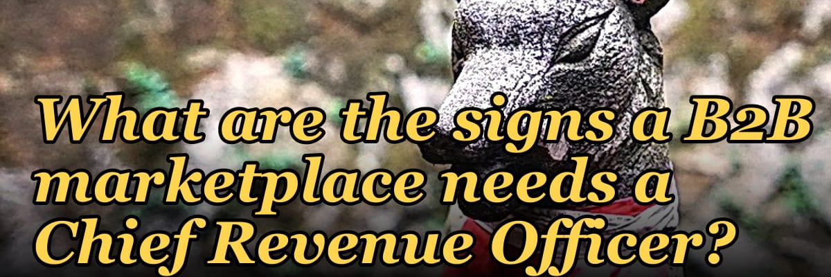 What are the signs a B2B marketplace needs a Chief Revenue Officer?