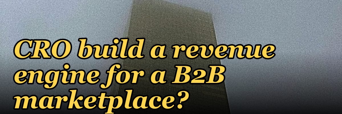How does a fractional CRO build a revenue engine for a B2B marketplace?