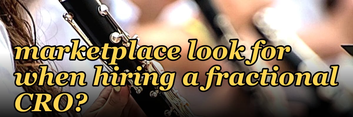 What should a B2B marketplace look for when hiring a fractional CRO?