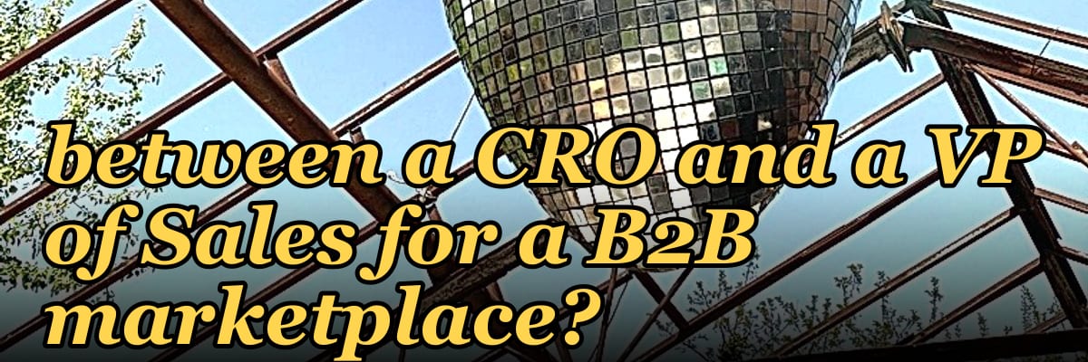 What's the difference between a CRO and a VP of Sales for a B2B marketplace?